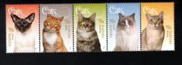 1927021488 2015 SCOTT 4292A (**) POSTFRIS MINT NEVER HINGED EINWANDFREI -  CATS - HOUSE CATS - Ungebraucht