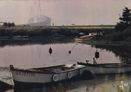 SAINT NAZAIRE LES BORDS DE LA LOIRE ET LE PONT (dil213) - Saint Nazaire