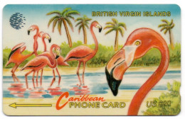 British Virgin Islands - Flamingoes - 23CBVE - Isole Vergini