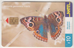 URUGUAY - Junonia Genovera Hilaris, TC 182a, 10 $ , Tirage 100.000, Used - Uruguay