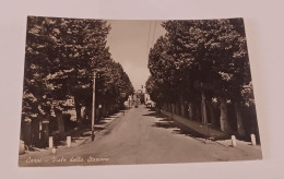 Carpi Viale Della Stazione No Circolata 1950 - Carpi