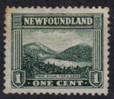 NEW FOUNDLAND         N° 117 * Neuf Avec Charnière - 1908-1947