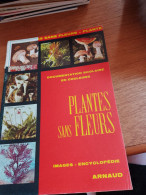 146 // DOCUMENTATION SCOLAIRE  / IMAGES ENCYCLOPEDIE / "PLANTES SANS FLEURS"   / 1975 / 15 PAGES - Sciences