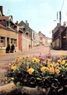 AVESNES LE COMTE - Grande Rue - Pierron N°2800 - VENTE DIRECTE X - Avesnes Le Comte