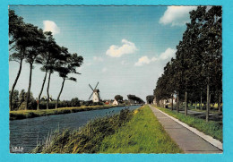 * Damme (West Vlaanderen) * (Nels Mexichrome, Y 8) Molen En Kanaal Brugge Sluis, Moulin, Mill, Damse Vaart - Damme