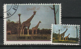 Umm Al Qiwain 1972 Animali Selvaggi - Wild Animals - Giraffe (Giraffa Camelopardalis) And Ministamp CTO - Jirafas