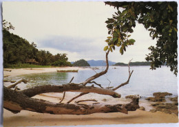 Carte Postale : Philippines : PALAWAN : Small Tropical Islands Of Port Barton - Philippines