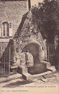 Locminé   P3          Fontaine St Colomban, Patron De Locminé - Locmine