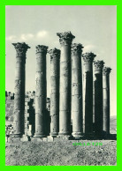 JERASH, JORDANIE - THE COLUMNS - HOLY VIEWS - - Jordanië