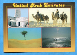 U.A.E. United Arab Emirates .  Used,   3 Views PC .camels , Chameaux - Emirats Arabes Unis