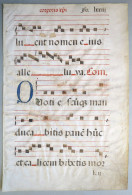 Grande Page D'antiphonaire.  Parchemin - 16e Siècle. - Manuscrits