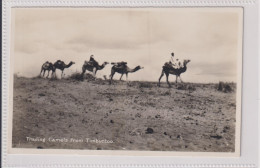 NIGERIA - Trading Camels From Timbuctoo  - RPPC - VG Animated View Etc - Nigeria