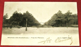 BRUXELLES -  KOEKELBERG  -  Vue Du Plateau  -  1903  - - Koekelberg