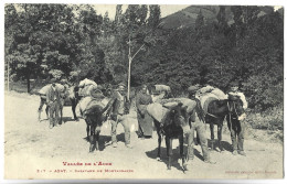 AXAT - Caravane De Montagnards - Ane - Axat