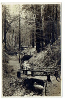 Ansichtskarte Pilnitz- Friedrichsgrund Um Das Jahr  1930  Gelaufen   Ortstempel Malschendorf - Pillnitz