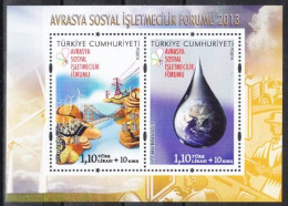 (4027-28) TURKEY EUROASIA SOCIAL BUSINESS FORUM 2013 SOUVENIR SHEET MNH** - Nuevos