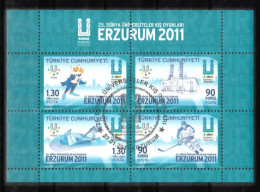 (3856-59) 25th WINTER UNIVERSIADE SOUVENIR SHEET MNH** CTO - Unused Stamps