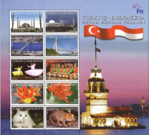 (3704-13 BL74) TURKEY JOINT ISSUE OF STAMPS BETWEEN TURKEY AND INDONESIA SOUVENIR SHEET MNH** - Nuovi