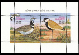 (3181-82 Bl40) TURKEY WORLD ENVIRONMENT DAY BIRDS SOUVENIR SHEET MNH** - Nuovi