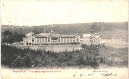 CPA  Carte Postale Belgique  Borgoûmont  Vue Panoramique Du Sanatorium 1908 VM75087 - Stoumont