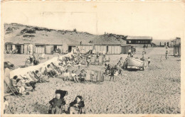 BELGIQUE - Bredene Sur Mer - La Plage - Transats - Animé - Carte Postale Ancienne - Bredene