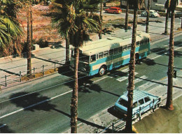 Autobus Ancien Marque Type Modèle ? Autocar Car Bus * Tiberias Tiberiade Israël - Busse & Reisebusse