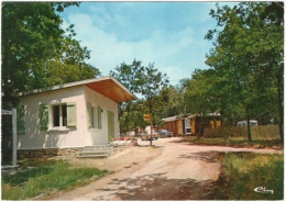 47. Gf. MONFLANQUIN. Le Camping. 0767 - Monflanquin