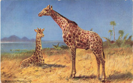 ARTS - Peintures Et Tableaux - Deux Girafes Dans La Savane - Carte Postale Ancienne - Paintings