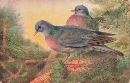 ARTS - Peintures Et Tableaux - Des Oiseaux Sur Une Branche - Carte Postale Ancienne - Paintings