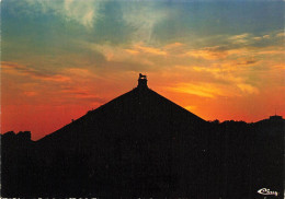 BELGIQUE - Waterloo - Vue Sur Le Lion Au Crépuscule - Colorisé - Carte Postale - Waterloo