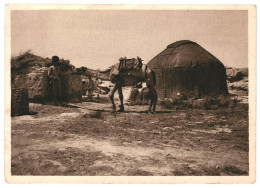 Ashgabat, Turkmen Tent In The Village, Camel, Soviet Turkmenistan USSR 1920-30s Unused Postcard. Publisher IZOGIZ Moscow - Turkmenistán