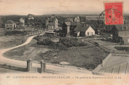 FRANCE - Cayeux Sur Mer - Vue Générale De Brighton Et La Forêt  - Carte Postale Ancienne - Cayeux Sur Mer