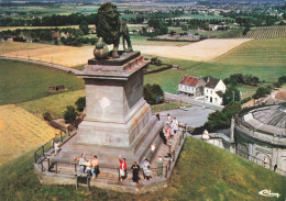 BELGIQUE - Waterloo - Vue Aérienne Du Lion De Waterloo - Colorisé - Carte Postale - Waterloo