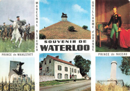 BELGIQUE - Waterloo - Monuments Français Et Britannique - Le Caillou - Colorisé - Carte Postale - Waterloo