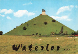 BELGIQUE - Waterloo - Vue Sur La Butte Et Le Lion - Colorisé - Carte Postale - Waterloo