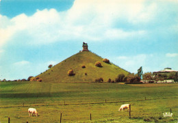 BELGIQUE - Waterloo - Vue Sur La Butte Et Le Lion - Colorisé - Carte Postale - Waterloo