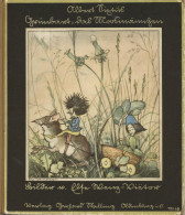 Kinderbuch Grünbart, Das Moosmännchen Von Sixtus, Albert Mit Bildern Von Wenz-Vietor, Else, Verlag Stalling Oldenburg, 1 - Jeux Et Jouets