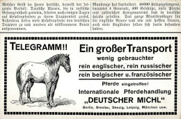 Werbung Berlin Deutscher Michl Internationale Pferdehandlung I-II Publicite - Werbepostkarten