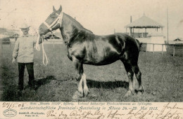 Landwirtschaft - ALTONA LANDWIRTSCHAFTLICHE PROVINZIAL-AUSSTELLUNG 1905 Mit S-o V. 27.5.1905 I Stute Monocle Paysans - Otros & Sin Clasificación