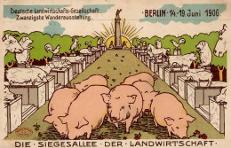 Landwirtschaft - BERLIN LANDWIRTSCHAFTLICHE AUSSTELLUNG 1906 Mit S-o V. 16.6.06 I-II Paysans - Altri & Non Classificati