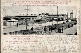 Landwirtschaft - STUTTGART AUSSTELLUNG D. DEUTSCHEN LANDWIRTSCHAFTS-GESELLSCHAFT 1908 Mit S-o V. CANNSTATT - Centrale Fü - Other & Unclassified