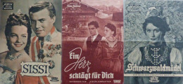 Film Ordner Mit 110 Filmprogramme Nach 1945 Jeweils In Klarsichtfolie II - Mecki