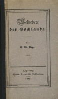 Buch Belvedere Der Hochlande Von Dem Bodensee Und Den Lechquellen Bis Zur Isar, Von Dem Oetzthalferner Bis Zum Würmsee 1 - Livres Anciens