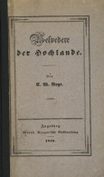 Buch Belvedere Der Hochlande Von Dem Bodensee Und Den Lechquellen Bis Zur Isar, Von Dem Oetzthalferner Bis Zum Würmsee 1 - Alte Bücher