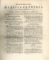 Buch Königl.-Baierisches Regierungsblatt 1817 München, 1033 S. II - Libros Antiguos Y De Colección