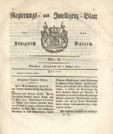 Buch Regierungs- Und Intelligenz-Blatt Für Das Königreich Baiern München 1821, 1026 S. II - Alte Bücher