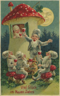 Zwerg Neujahr Prägekarte Litho I-II Bonne Annee Lutin - Año Nuevo