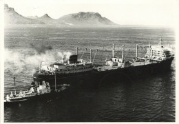 Walfang-Schiff Schiffspost M.S. Willem Barendsz Mit Entsprechendem Schiffspost-Stempel Auf Niederländischer Frankatur Ba - Farfalle