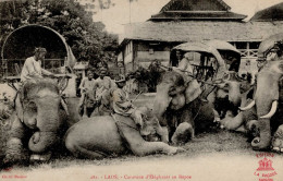 Elefant Laos Asien I-II - Olifanten
