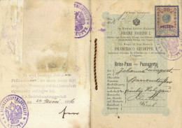 WK I Dokumente Reisepass Ausg. 1916 Vom K.K. Bezirkshauptmannschaft Reutte, Ohne Passbild II - Sonstige & Ohne Zuordnung